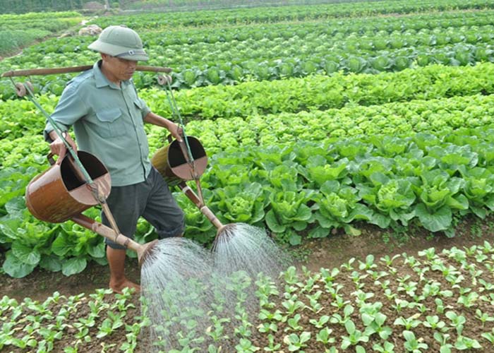 Biện pháp bảo vệ môi trường trong hoạt động nông nghiệp