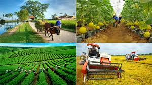 Giải pháp để đổi mới nông nghiệp nước ta
